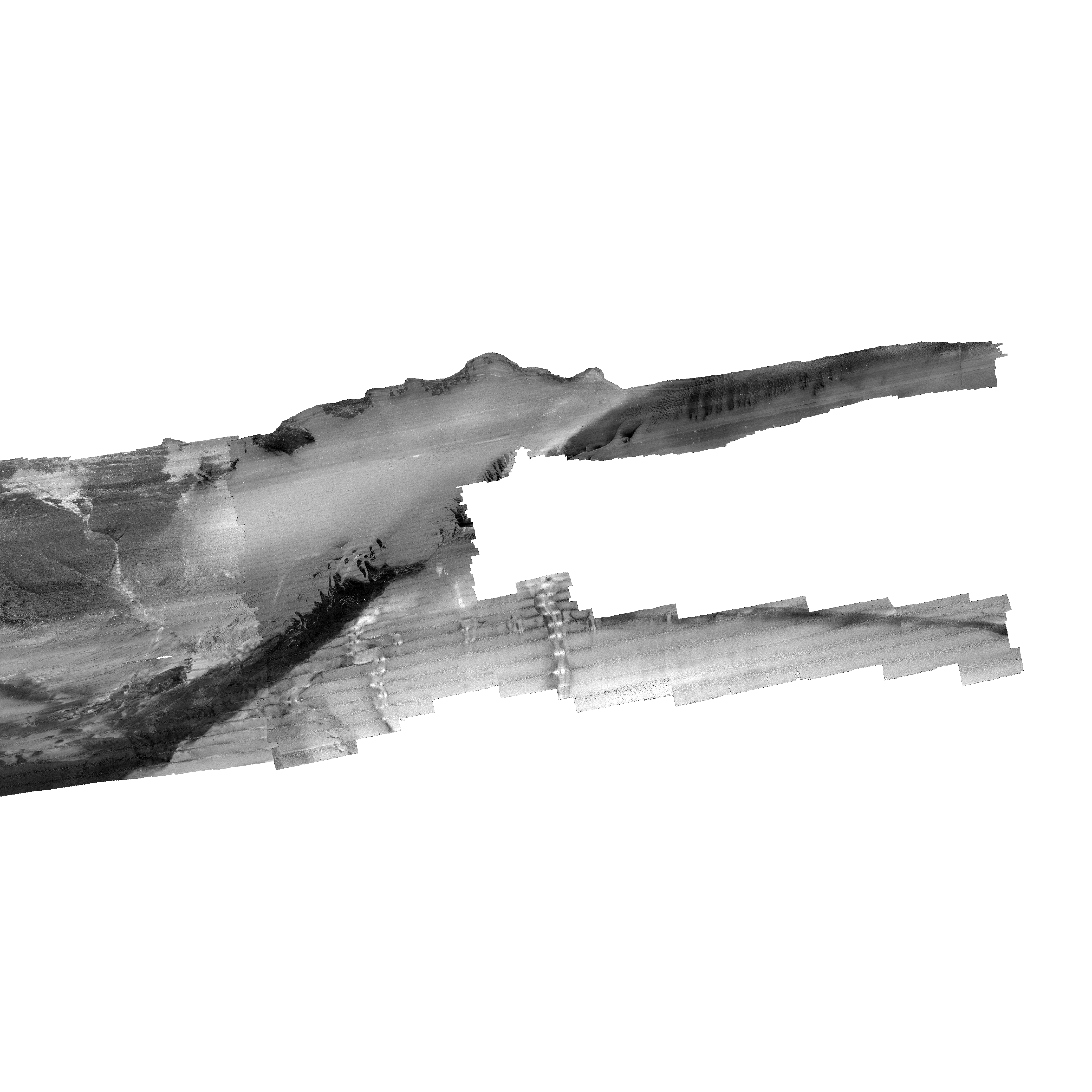 Thumbnail of file.